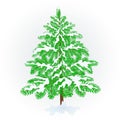 Spruce Christmas tree with snow vintage vector illustration editable Royalty Free Stock Photo