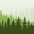 Spruce forest in the hills. Green and beige colors.