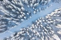 Spruce forest on the north, beautiful aerial top view. Amazing winter scene. Christmas theme. Winter background. Winter forest aer Royalty Free Stock Photo