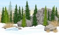 Spruce forest, stones and mountains, dry grass. Valley covered with snow