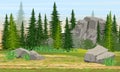 Spruce forest, stones and mountains, grass. The nature of Europe and America