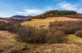 Spruce forest on top of a hill in springtime Royalty Free Stock Photo