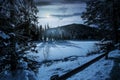 Spruce forest on winter night in full moon light