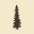 Spruce, hand drawn silhouette. Vector sketch of coniferous tree. Royalty Free Stock Photo