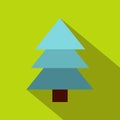 Spruce icon, flat style