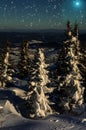 Spruce mountains night snow stars Royalty Free Stock Photo