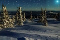 Spruce mountains night snow stars Royalty Free Stock Photo