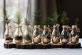 Spruce, pine and juniper seedlings in glass jars. Eco friendly Christmas gifts. Sustainable concept