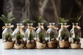 Spruce, pine and juniper seedlings in glass jars. Eco friendly Christmas gifts. Sustainable concept
