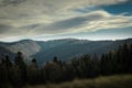 Spruce, pine trees and hills landscape in Poland.