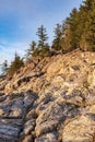 Spruce and pine trees and rocky mountains of West Canada. Sunset in the Mountains Royalty Free Stock Photo