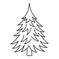 Spruce. Sketch. Lush fir with spiny pine needles. Thuja tree icon. Coniferous plant. Vector illustration.