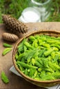 Spruce sprouts and cones, sugar, jars, ingredients for making coniferous syrup. Royalty Free Stock Photo