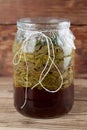 Spruce sprouts syrup - making of Royalty Free Stock Photo