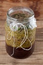 Spruce sprouts syrup - making of Royalty Free Stock Photo