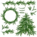 Spruce tree, branches, wreath and border isolated on wite background