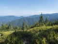 spruce tree forest, scrub pine and mountain meadow with view of blue green hills of Low Tatras mountains ridge. Summer Royalty Free Stock Photo