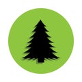 spruce tree in green badge icon Royalty Free Stock Photo