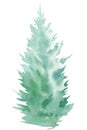 Spruce tree on an isolated white background. Watercolor illustrations Royalty Free Stock Photo