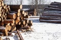 Spruce tree logs in winter forest area. Forest management stage deforestation Royalty Free Stock Photo