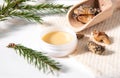 Spruce tree Picea abies herbal medicinal resin lotion in jar and pieces on wood spoon, decorated with fresh spruce branches. Royalty Free Stock Photo