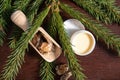 Spruce tree Picea abies herbal medicinal resin lotion in jar and pieces on wood spoon, decorated with fresh spruce branches. Royalty Free Stock Photo