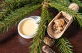 Spruce tree Picea abies herbal medicinal resin lotion in jar and pieces on wood spoon, decorated with fresh spruce branches. Royalty Free Stock Photo