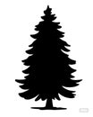 Spruce tree silhouette illustration isolated on white Royalty Free Stock Photo