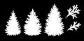 Spruce trees and branches silhouettes Royalty Free Stock Photo