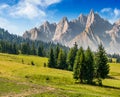 Spruce trees on grassy hillside in mountains Royalty Free Stock Photo