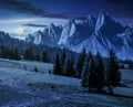 Spruce trees on hillside in mountains at night Royalty Free Stock Photo