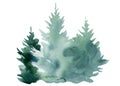 Spruce trees on an isolated white background. Watercolor illustrations, forest Royalty Free Stock Photo