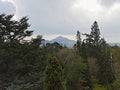 Spruce trees in Powerscourt garden and Sugar loaf mountain in the background Royalty Free Stock Photo