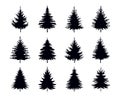 Spruce Trees. Winter season design elements and simply pictogram. Isolated vector Christmas Tree Icons and Illustration Royalty Free Stock Photo