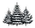 Spruce Trees with Snow. Winter season design elements and simply pictogram. Isolated vector Christmas Tree Icons and Illustration Royalty Free Stock Photo