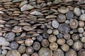 Spruce wood in the background. Firewood stack.