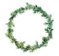 Spruce wreath - fir tree. Watercolor Royalty Free Stock Photo