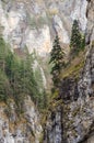 Precipitous cliffs of Trigrad gorge, Rhodope Mountains, Bulgaria Royalty Free Stock Photo