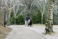 Spting Central park in New York. Carriage-ride Royalty Free Stock Photo