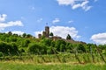 Castle ruin called Wachtenburg with vineyard in Wachenheim city in Rhineland-Palatinate Royalty Free Stock Photo