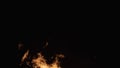 Spurts of Flame. Background of Flames of Fire. Big Bonfire. Slow Motion 240 fps