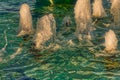 Spurts in fountain at sunset