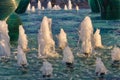 Spurts in fountain at sunset