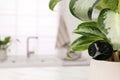 Spy camera hidden in flower pot indoors, closeup. Space for text Royalty Free Stock Photo