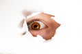 Spy eye looking through paper hole. curious and nosy child Royalty Free Stock Photo