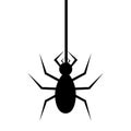 Spyder in cobweb silhouette