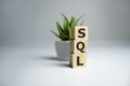 SQL text Structured Query Language on wooden cubes, language concept. Royalty Free Stock Photo