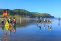 Junior surf lifesavers in training, Muriwai, New Zealand