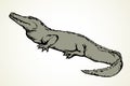 Crocodile. Vector drawing icon sign