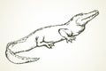 Crocodile. Vector drawing icon sign